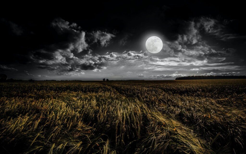 Full Moon above an agricultural plot. Harvest Moon