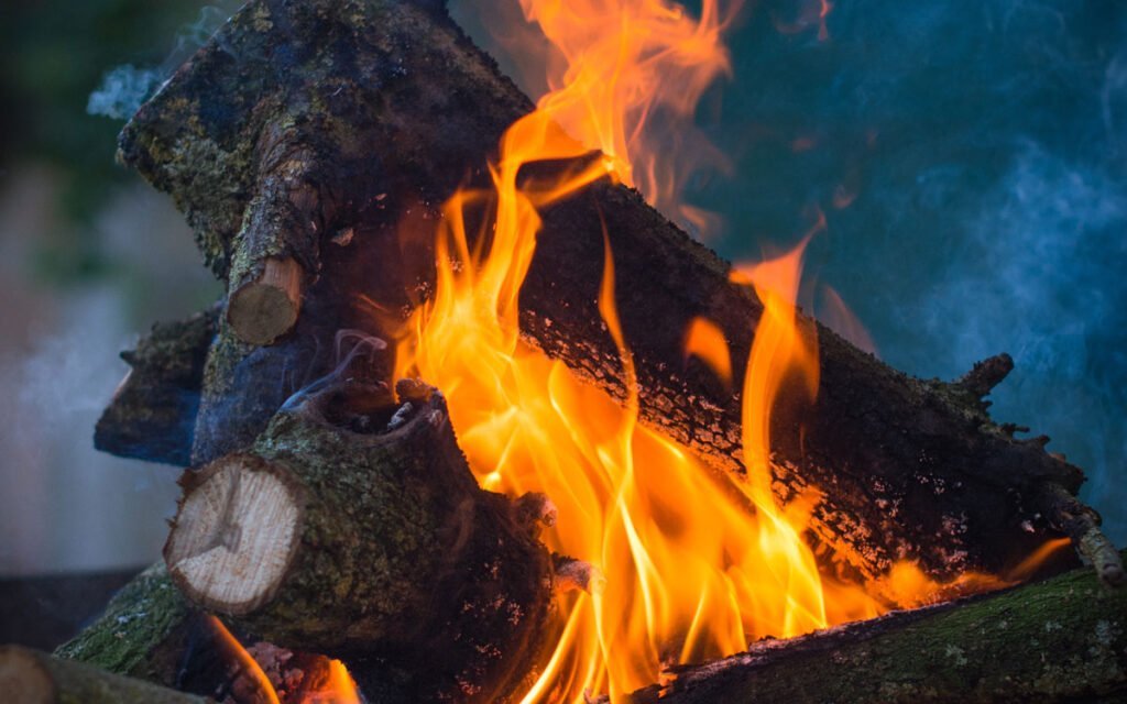 Fire burning over wood logs